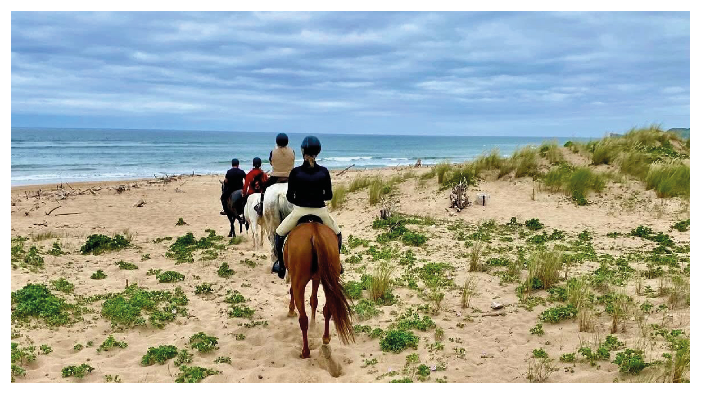 Ridning & vandring i norra Spanien